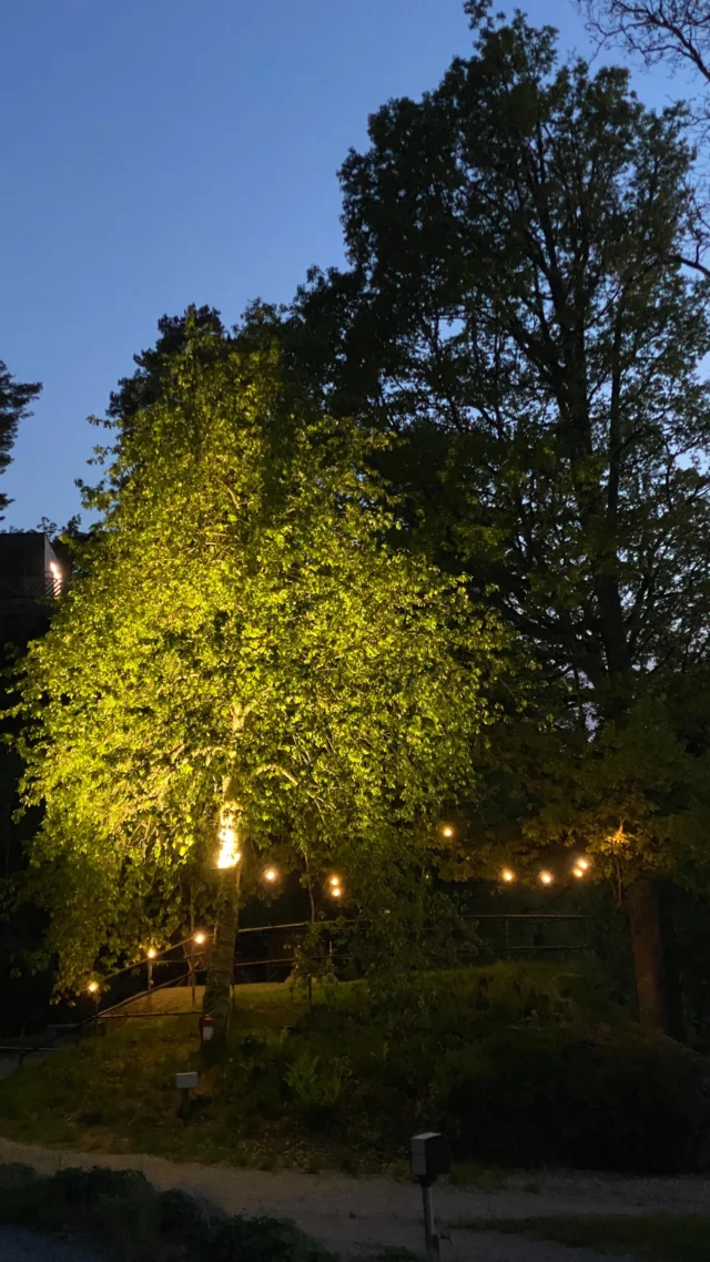 Nu har vi fixat en mysig grillplats nära campingtomterna, under ett stort körsbärsträd och med havsutsikt. Kom förbi och grilla!

#grillplats #havsutsikt #camping #bohuslan