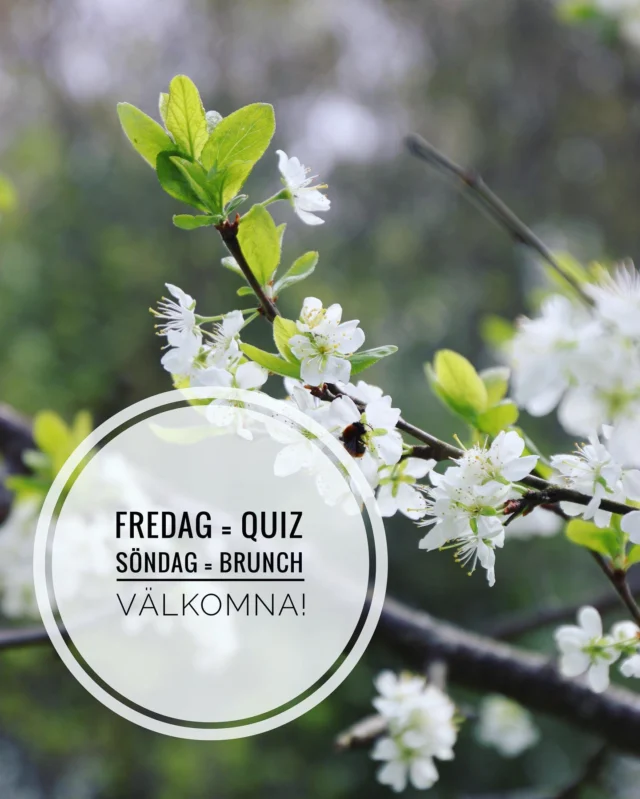 Denna helg blir det quiz på fredag och brunch på söndag. Välkomna! (Det blir näst sista brunchen för våren. Vi avslutar vår-brunchen med mors dag 25/5)

#brunch #morsdag #ljungskile #stenungsund #uddevalla